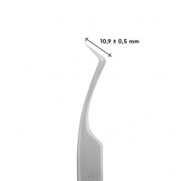 Curved professional  STALEKS PRO EXPERT 41 TYPE 2 TE-41/2